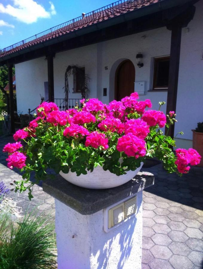 Haus Saentisblick Apartment Ерискирх Екстериор снимка